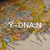 父系单倍群N