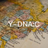 父系单倍群C